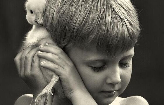 Menino com pintinho