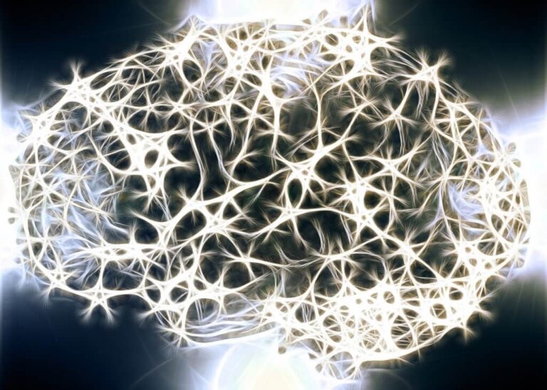Por que a substância branca do nosso sistema nervoso é tão importante?