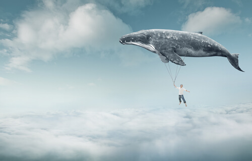 Manter a capacidade de acreditar no impossível