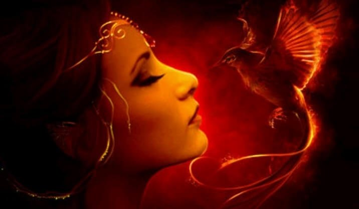 O mito da ave Fênix