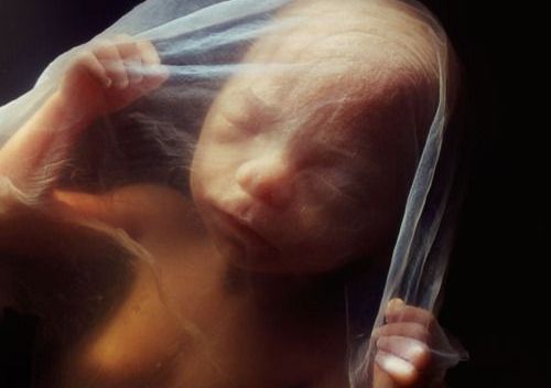 Nascimento de um bebê