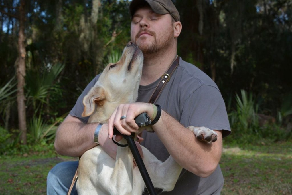 Os cachorros se conectam conosco