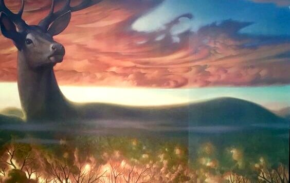 Cervo na natureza ao amanhecer