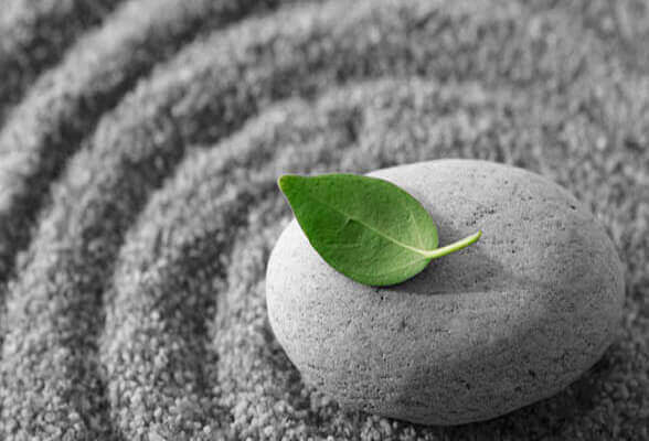 Mindfulness