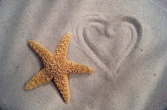 A inspiradora lenda do menino e a estrela do mar
