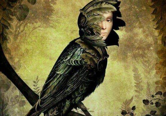 Pássaro com rosto de homem