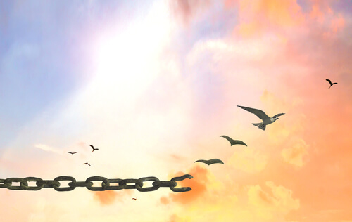 Pássaros se libertando
