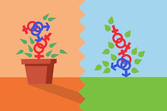 Sexo e sexualidade