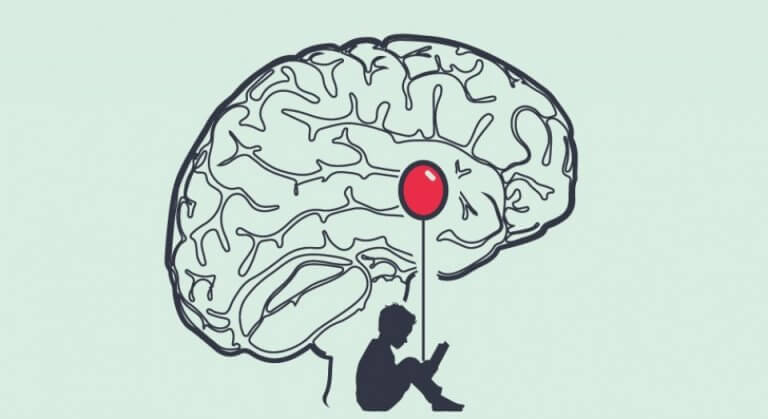 A anatomia do medo no cérebro humano
