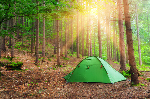 Acampar no meio da floresta