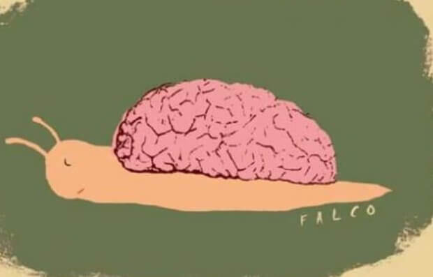 Lesma representando o aprendizado lento