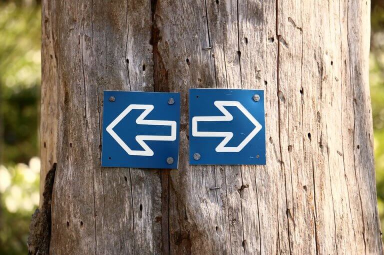 Qual caminho escolher?