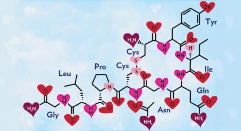 Estrutura química da oxitocina