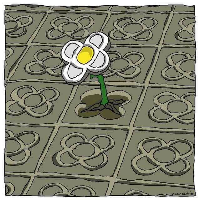 Flor nascendo em meio à adversidade