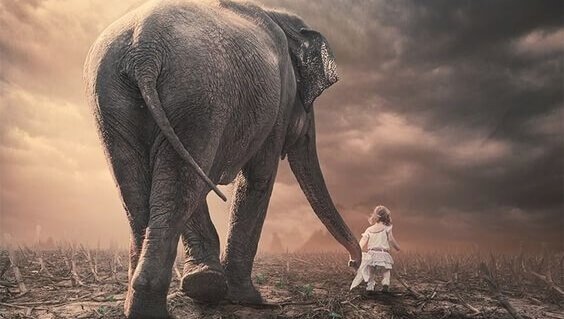 Menina andando com elefante