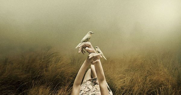 Mulher deitada na grama com pássaros nas mãos