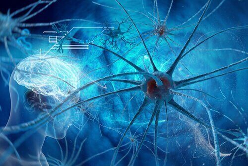 Os neurônios durante o sono