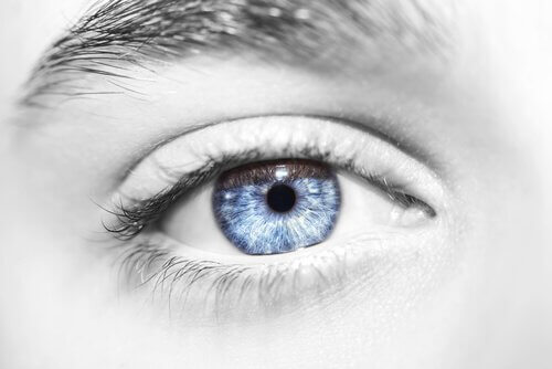 Olho azul em rosto em preto e branco