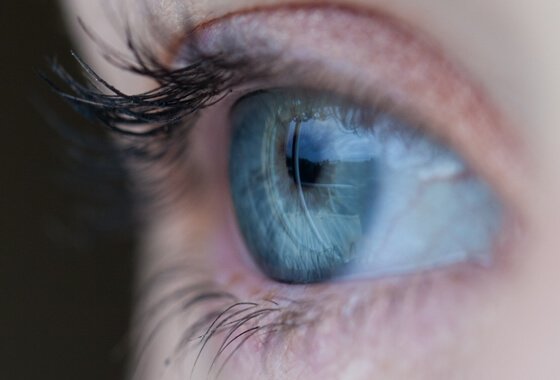 Observar com atenção para apreciar os detalhes
