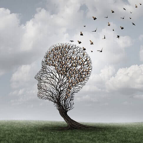 Cabeça humana feita de galhos