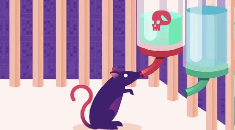Experimento com ratos sobre os efeitos das drogas