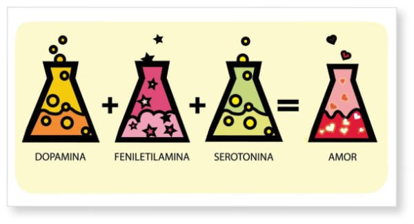 A química do amor