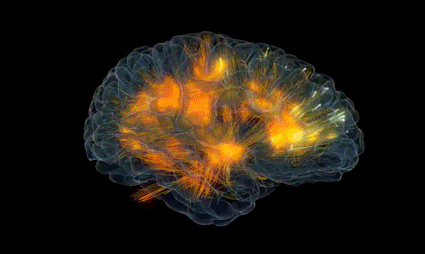 Cérebro humano em atividade