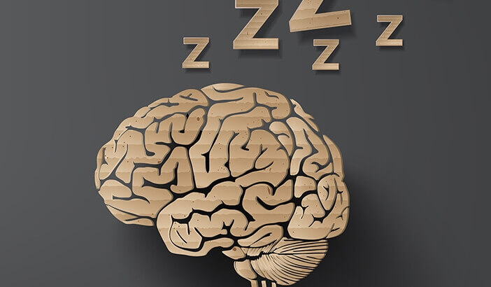 Como o cérebro age durante o sono?