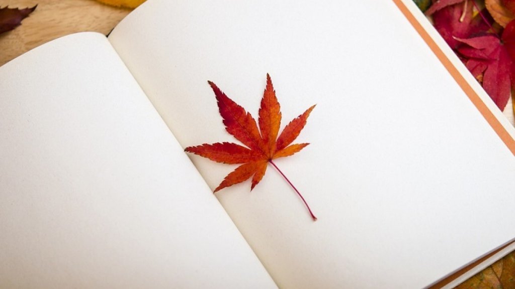 Folha de outono dentro de livro