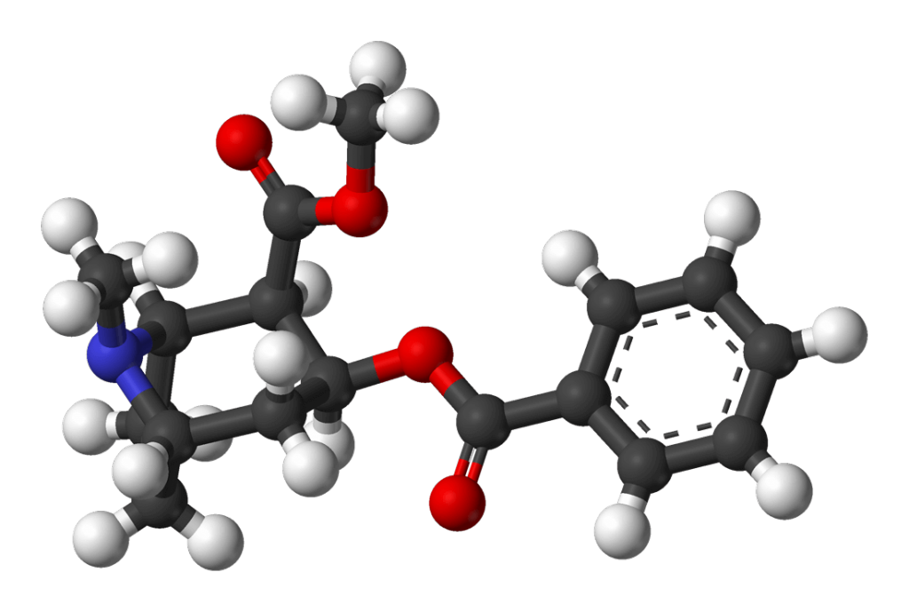 Fórmula química da cocaína