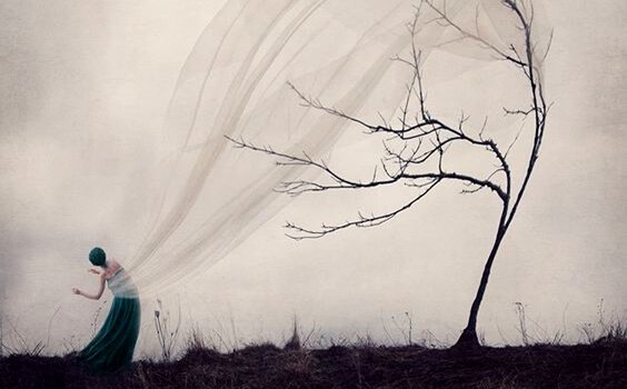 Mulher com véu transparente preso em árvore