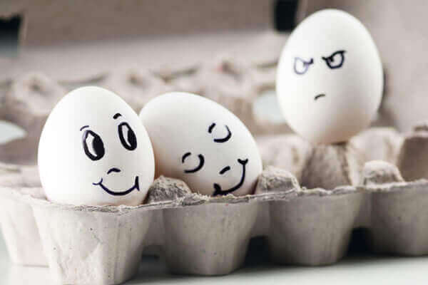 Ovo sentindo inveja de outros ovos