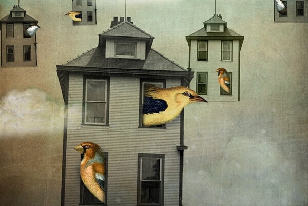 Pássaros nas janelas de casinhas pequenas