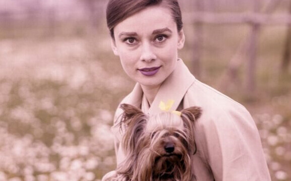 Foto de Audrey Hepburn