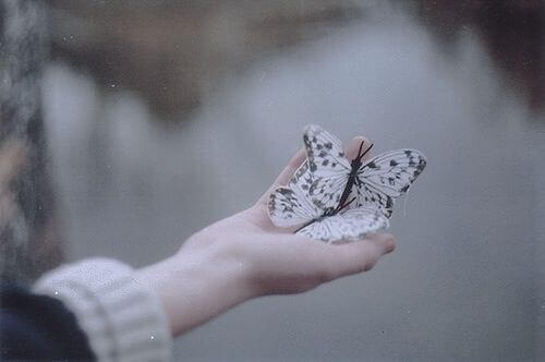 Mão segurando borboletas