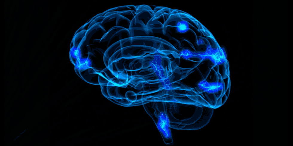 As conexões do cérebro humano