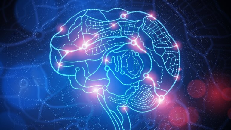 Conexões do cérebro humano
