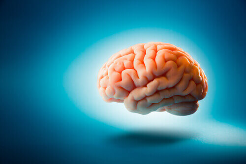 Mitos sobre o cérebro humano