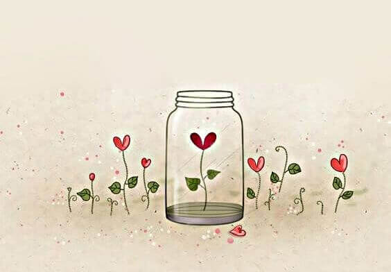 Pote de vidro com flor de coração dentro