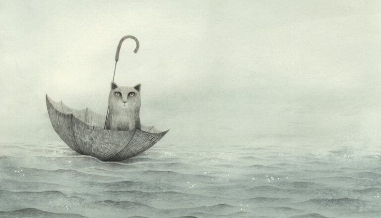 Gato boiando no mar em guarda-chuva