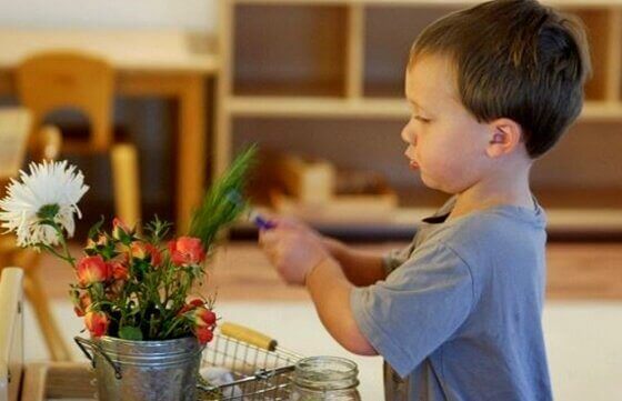 Menino aprendendo com plantas