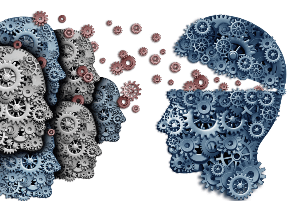 Engrenagens do cérebro humano
