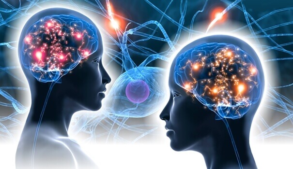Neurologia das emoções