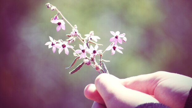 Mão segurando flores pequenas
