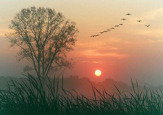 Sol se pondo na natureza