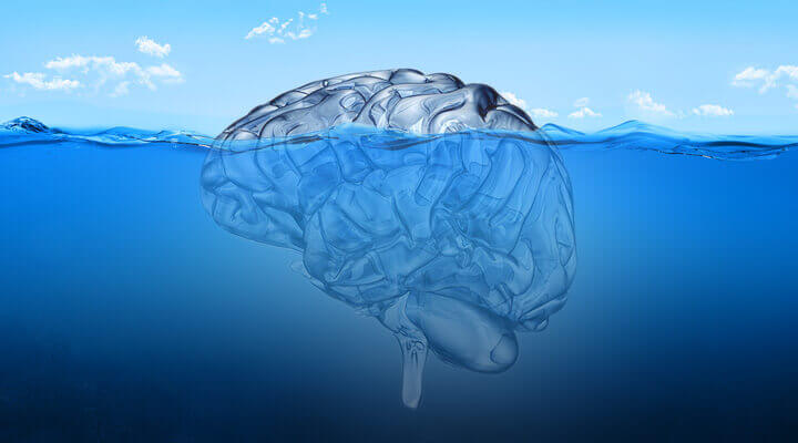 Cérebro boiando na água