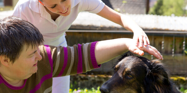 Terapia com cães