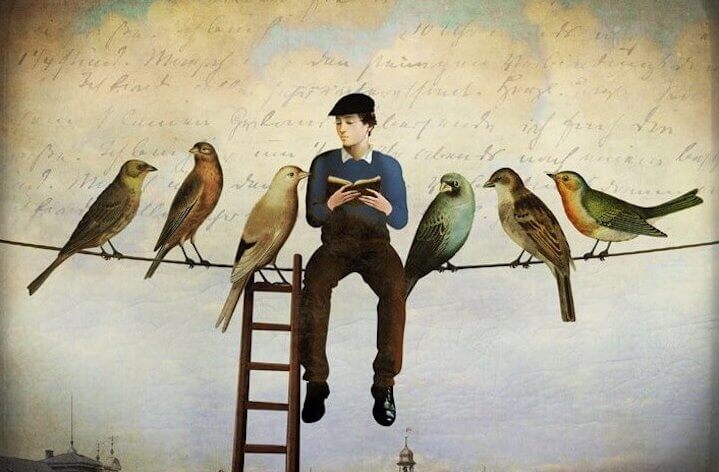 Homem lendo livro ao lado de pássaros