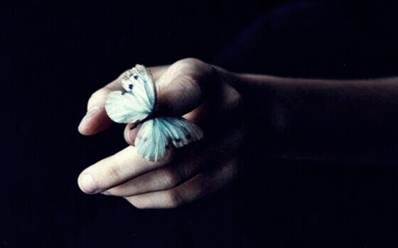 Borboleta pousando em mão