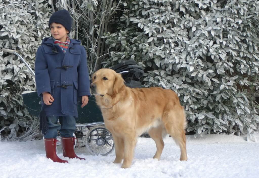 Cena do filme 'Um amigo inesperado'